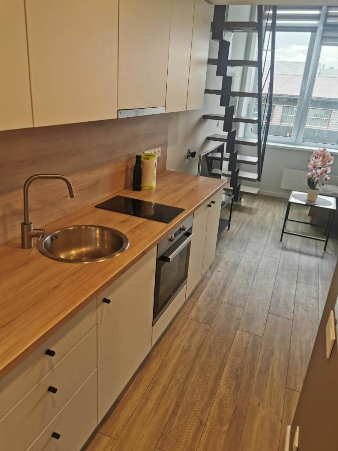 Апартаменты Lofto Tipo 2 Kambariu Butas Каунас Экстерьер фото